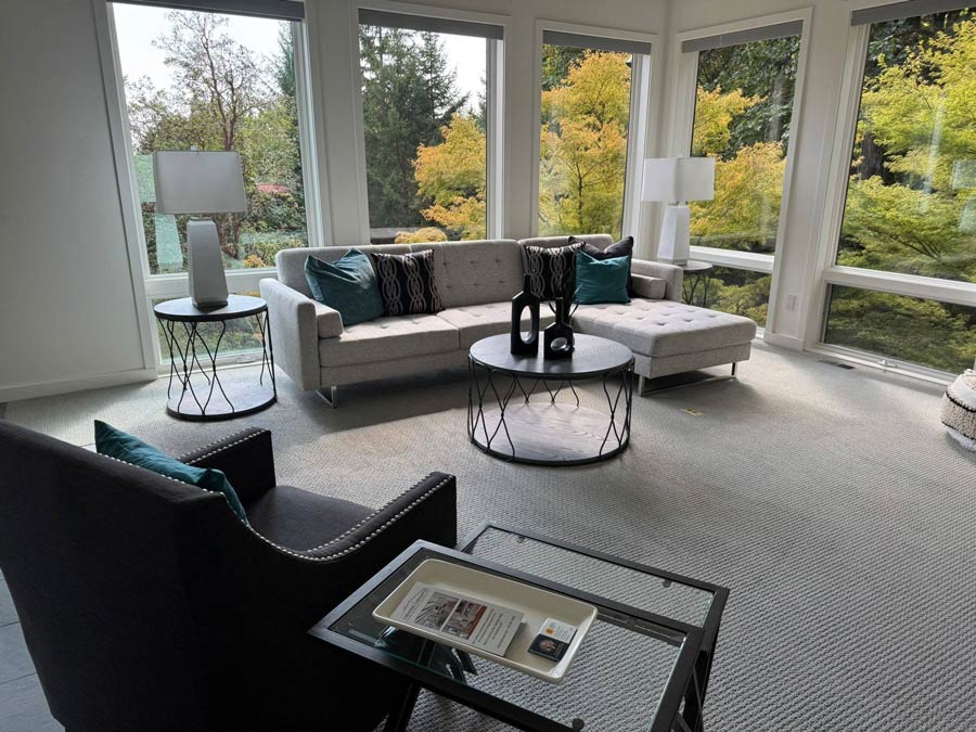Residential living room cleaning