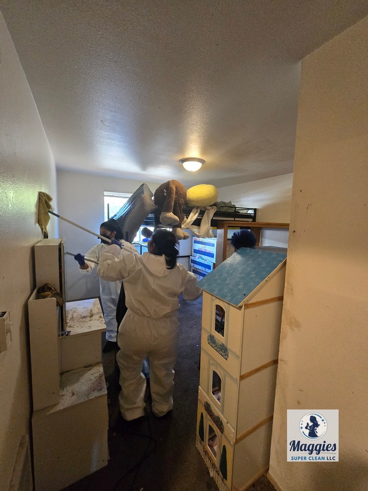 Cleaning team members in protective clothing work in a crowded residential area with furnishings, toys, and household belongings.