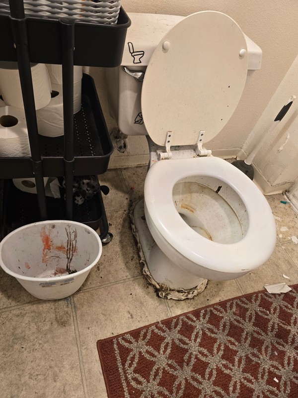 Bathroom area with visible residue around the toilet, floor debris, and cleaning supplies prepared for detailed cleanup.