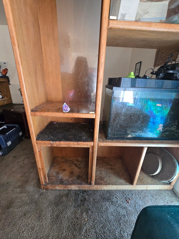 Wooden shelving with dust, debris, and surface buildup around stored belongings and an aquarium.