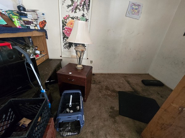 Room with visible wall marks, carpet debris, personal items, and pet carriers requiring focused residential cleanup.